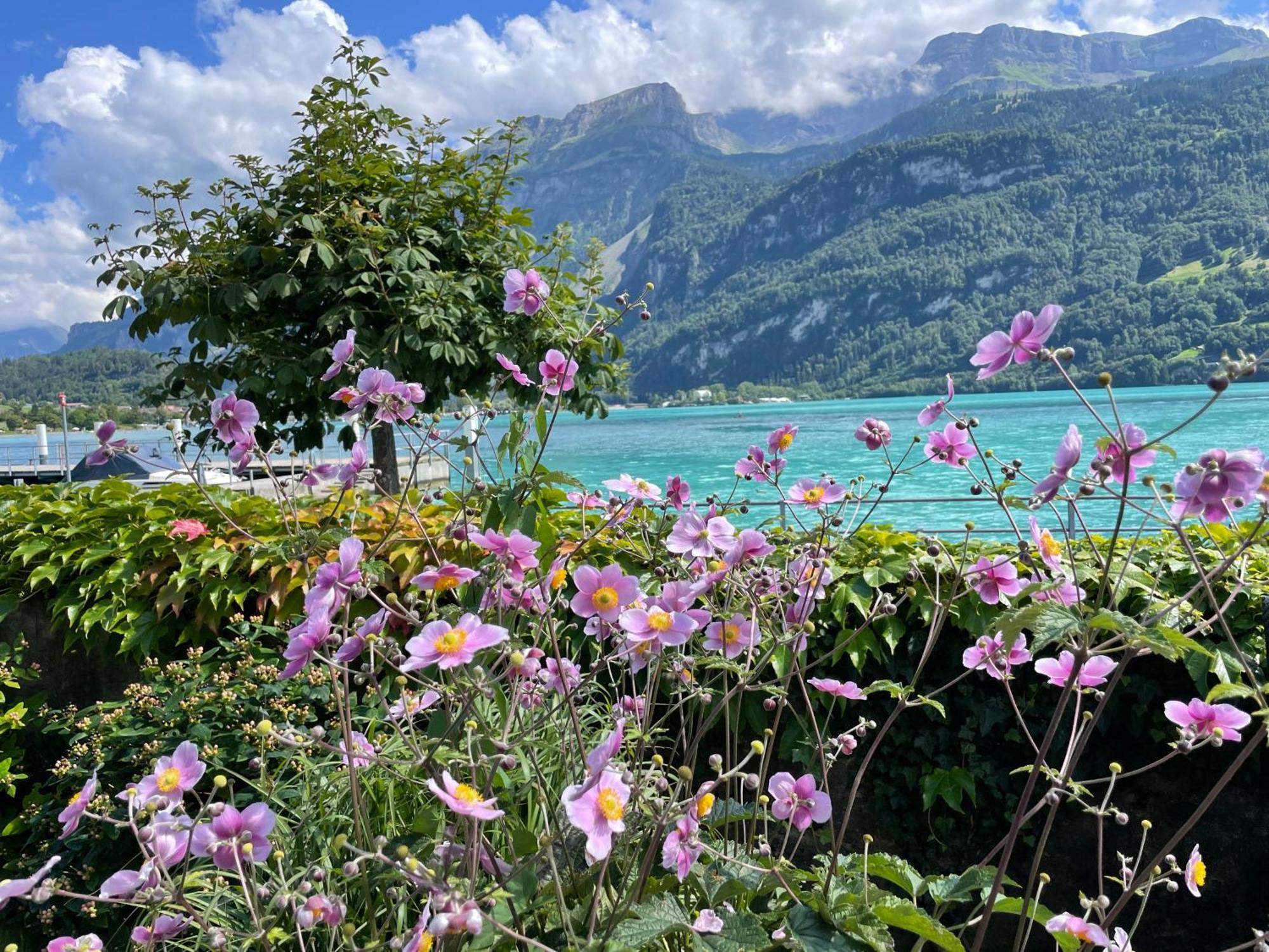 Chalet Romantica Carpe Diem Best View Best Location Brienz  Exterior photo